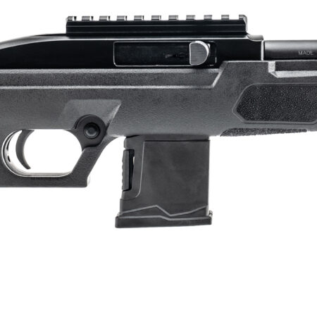 RS22P 22LR BLK/SYN 6" 10+1