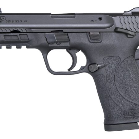 M&P380 SHIELD EZ 380ACP SAFETY